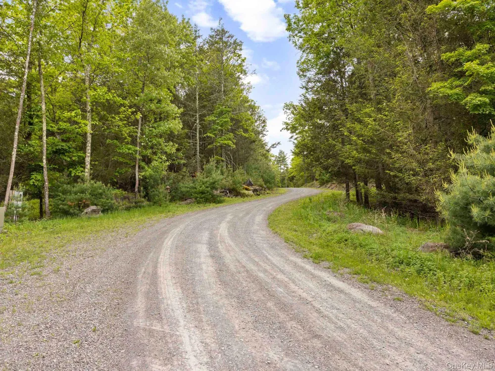 40 Mamoud Hills, Lot #4 Road Kingston, NY 12401