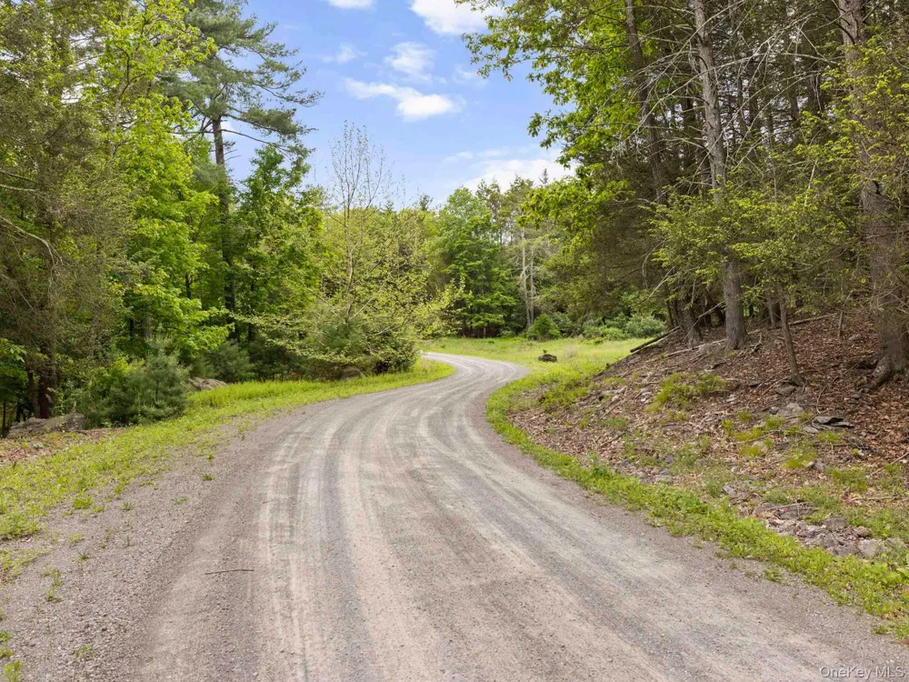 40 Mamoud Hills, Lot #4 Road Kingston, NY 12401