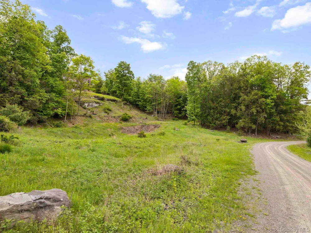40 Mamoud Hills, Lot #4 Road Kingston, NY 12401