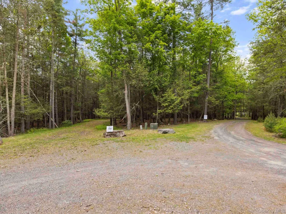 40 Mamoud Hills, Lot #4 Road Kingston, NY 12401