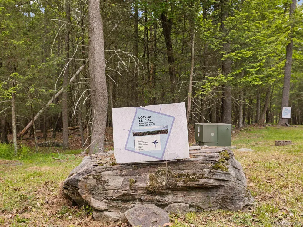40 Mamoud Hills, Lot #4 Road Kingston, NY 12401