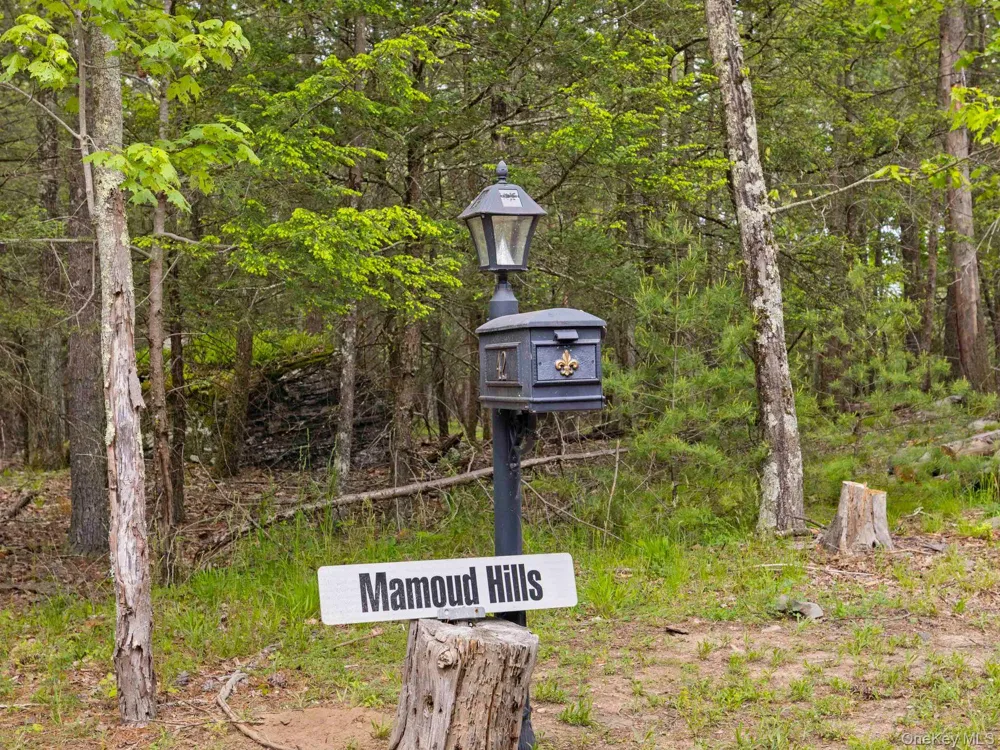 40 Mamoud Hills, Lot #4 Road Kingston, NY 12401