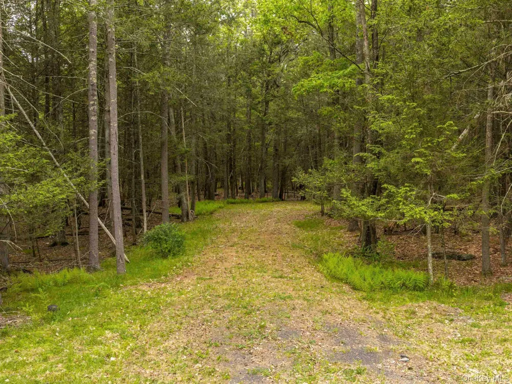 40 Mamoud Hills, Lot #4 Road Kingston, NY 12401