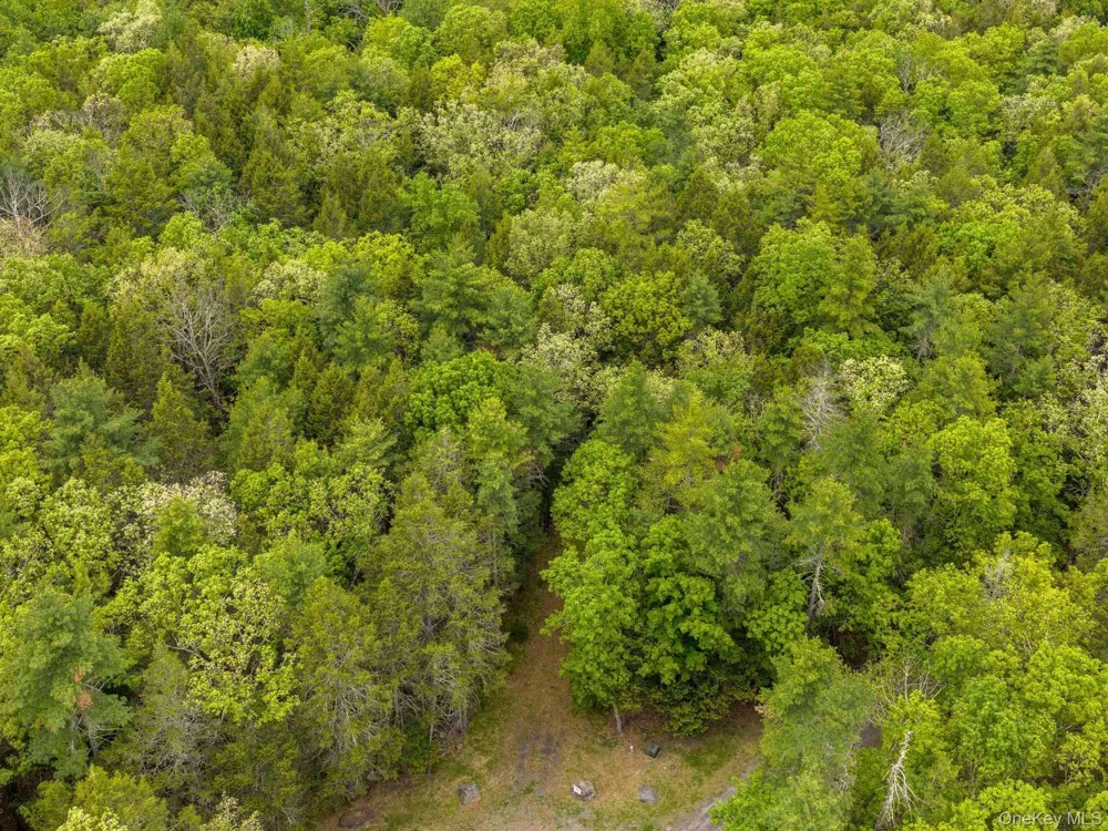 40 Mamoud Hills, Lot #4 Road Kingston, NY 12401