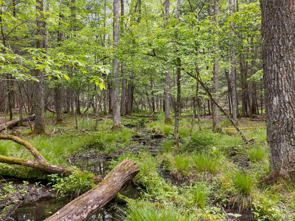 40 Mamoud Hills, Lot #4 Road Kingston, NY 12401