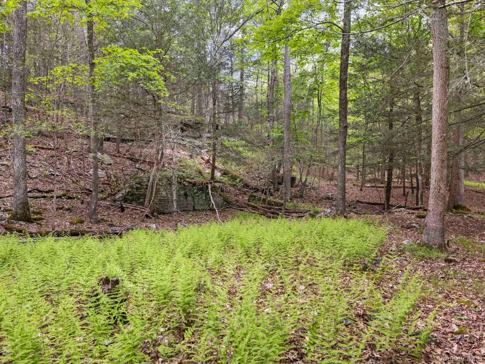 40 Mamoud Hills, Lot #4 Road Kingston, NY 12401
