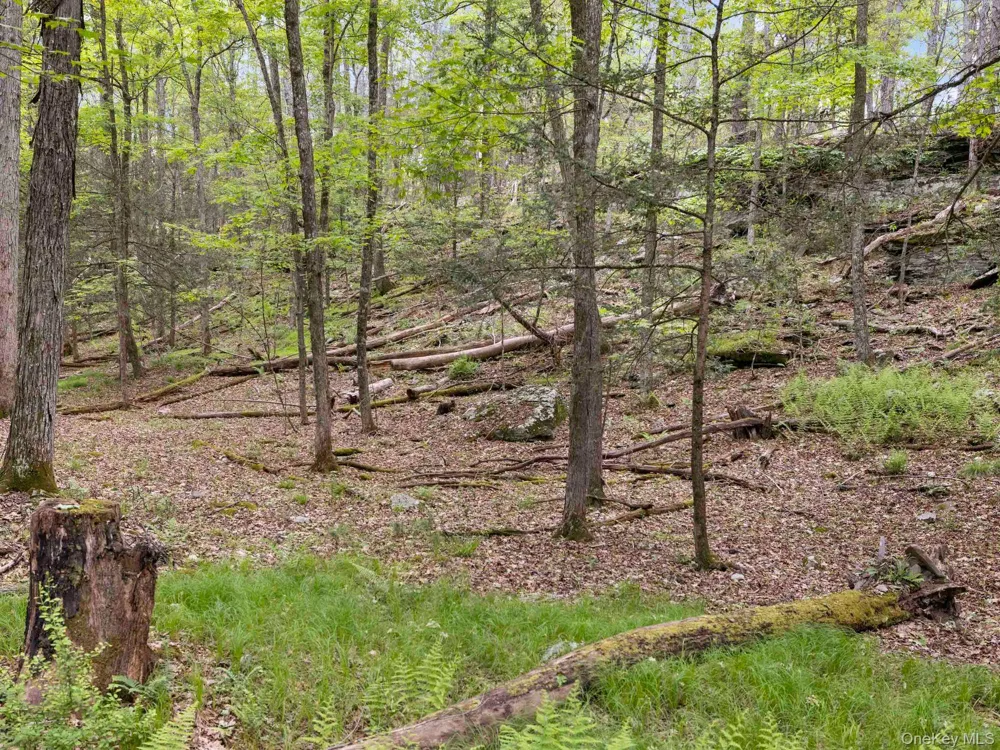 40 Mamoud Hills, Lot #4 Road Kingston, NY 12401