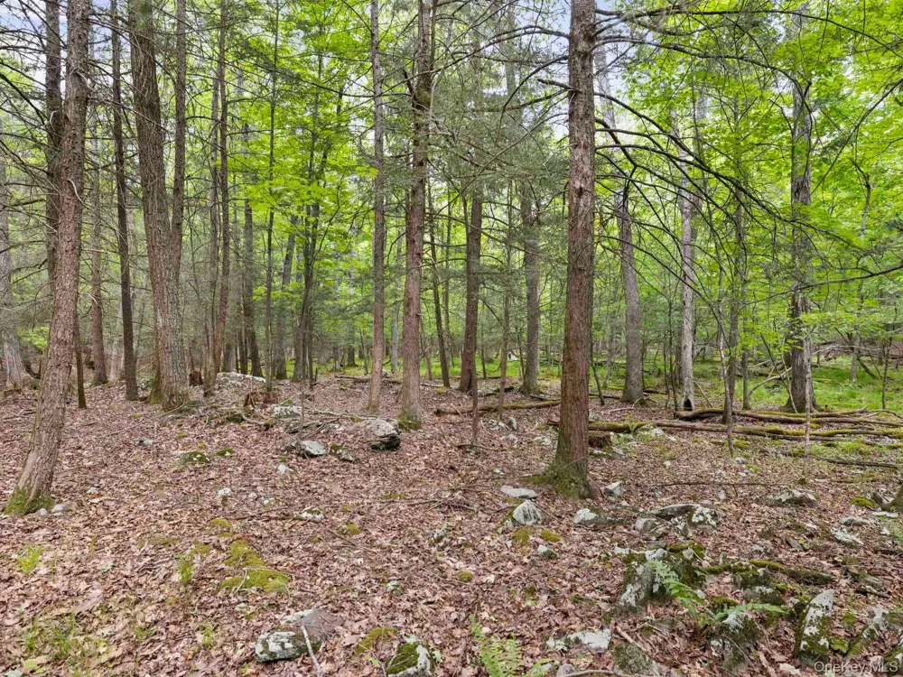 40 Mamoud Hills, Lot #4 Road Kingston, NY 12401