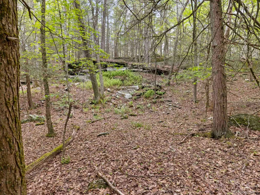 40 Mamoud Hills, Lot #4 Road Kingston, NY 12401