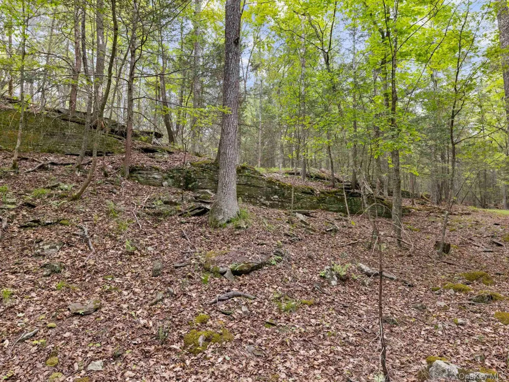 40 Mamoud Hills, Lot #4 Road Kingston, NY 12401