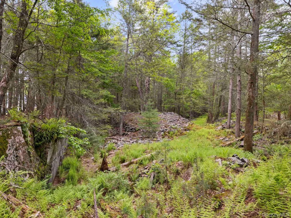 40 Mamoud Hills, Lot #4 Road Kingston, NY 12401