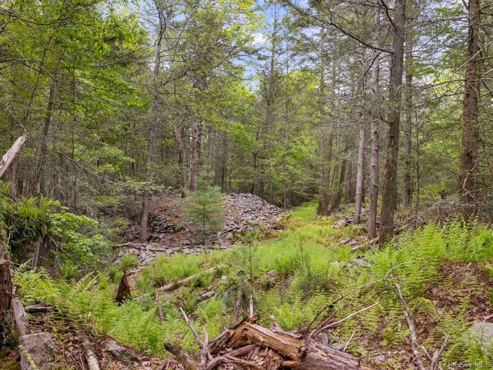 40 Mamoud Hills, Lot #4 Road Kingston, NY 12401