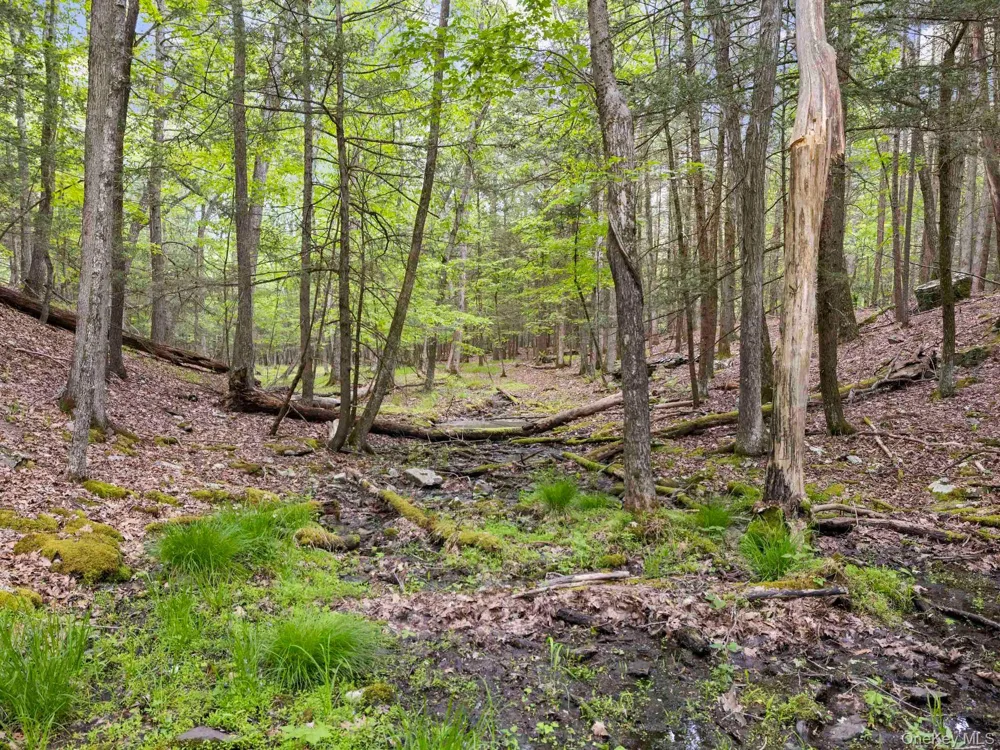 40 Mamoud Hills, Lot #4 Road Kingston, NY 12401