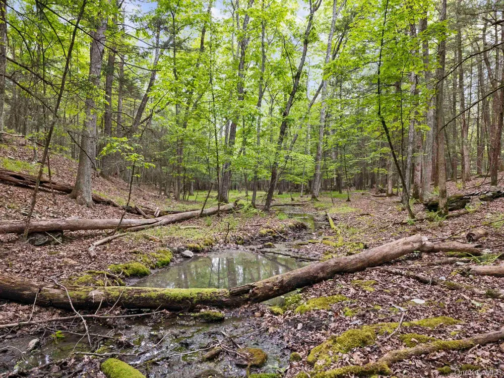 40 Mamoud Hills, Lot #4 Road Kingston, NY 12401