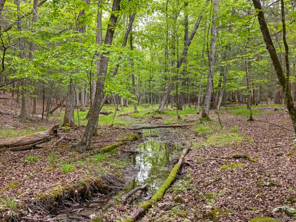40 Mamoud Hills, Lot #4 Road Kingston, NY 12401