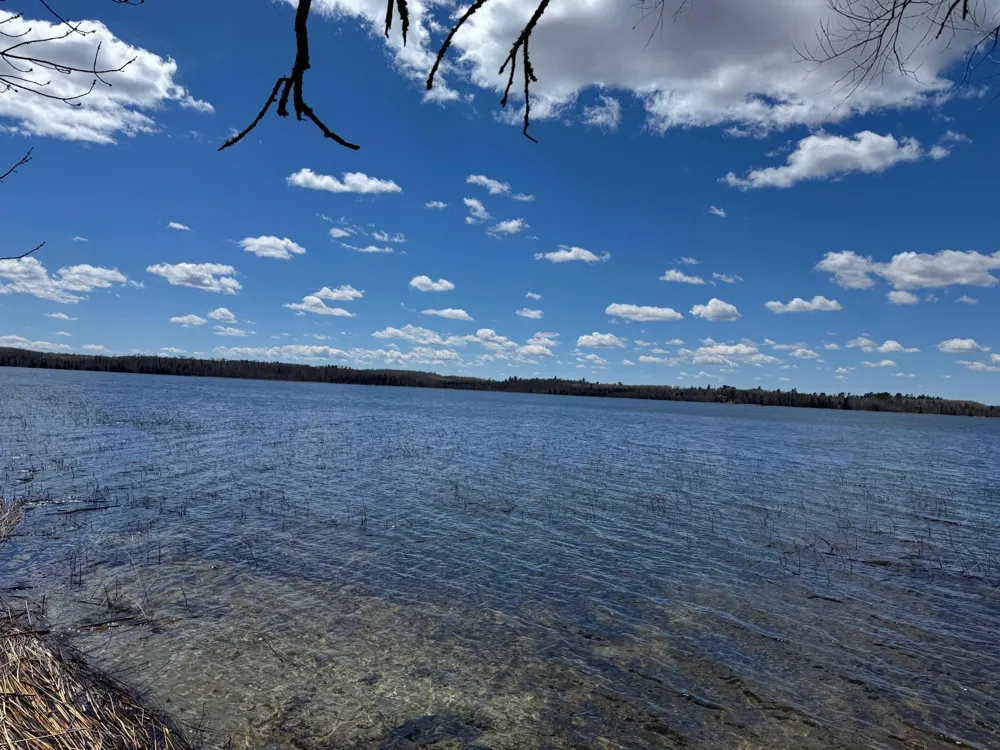 56161 Whitefish Trail Squaw Lake, MN 56659