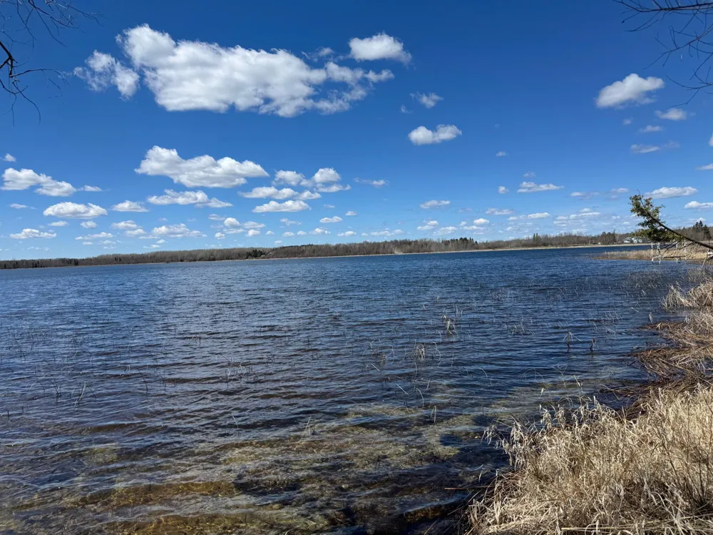 56161 Whitefish Trail Squaw Lake, MN 56659