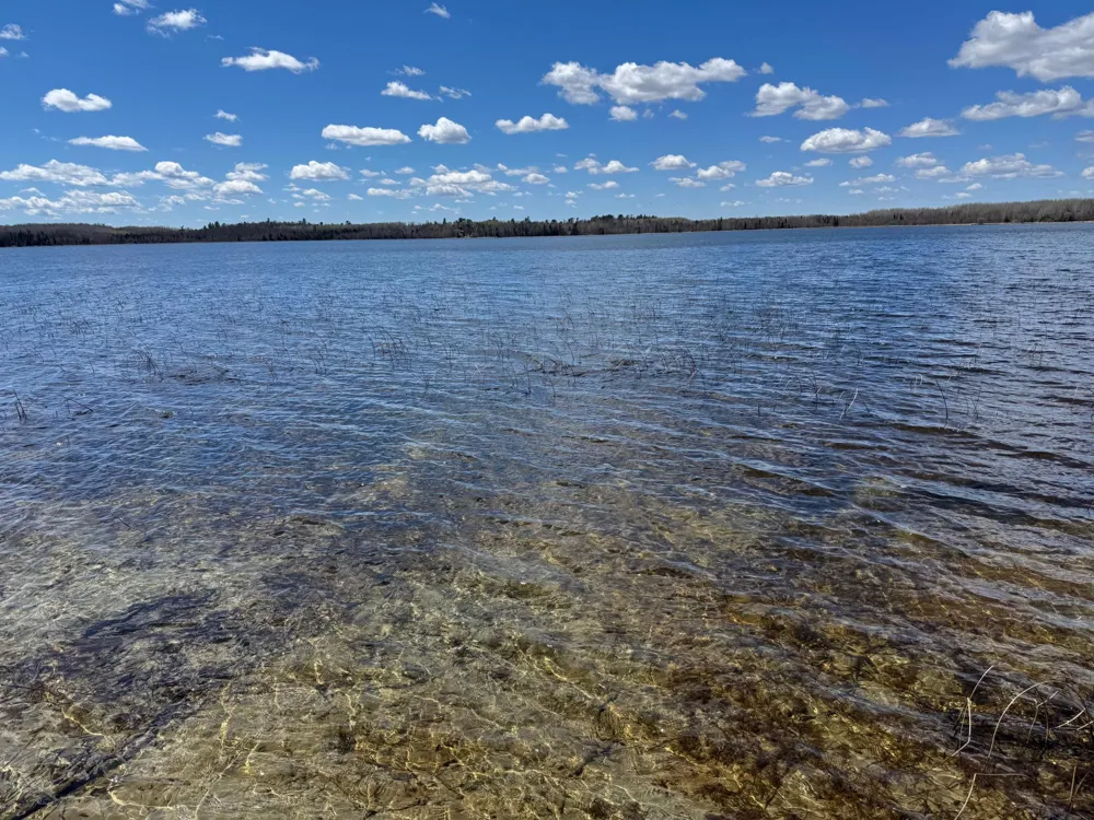 56161 Whitefish Trail Squaw Lake, MN 56659