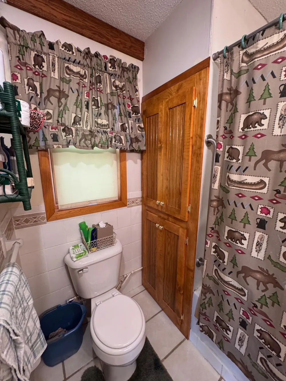56161 Whitefish Trail Squaw Lake, MN 56659