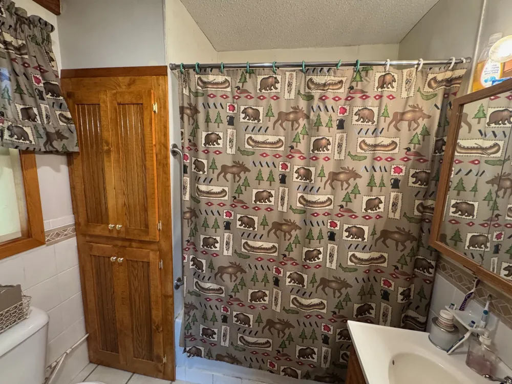 56161 Whitefish Trail Squaw Lake, MN 56659
