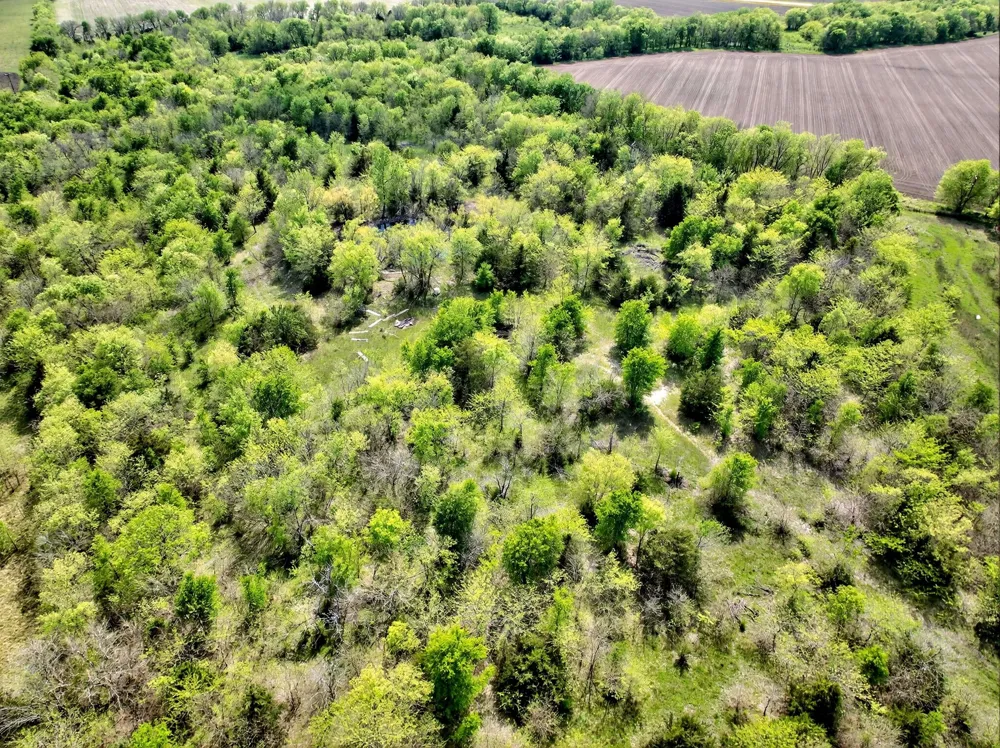 20 FM-2068 Commerce, TX 75428