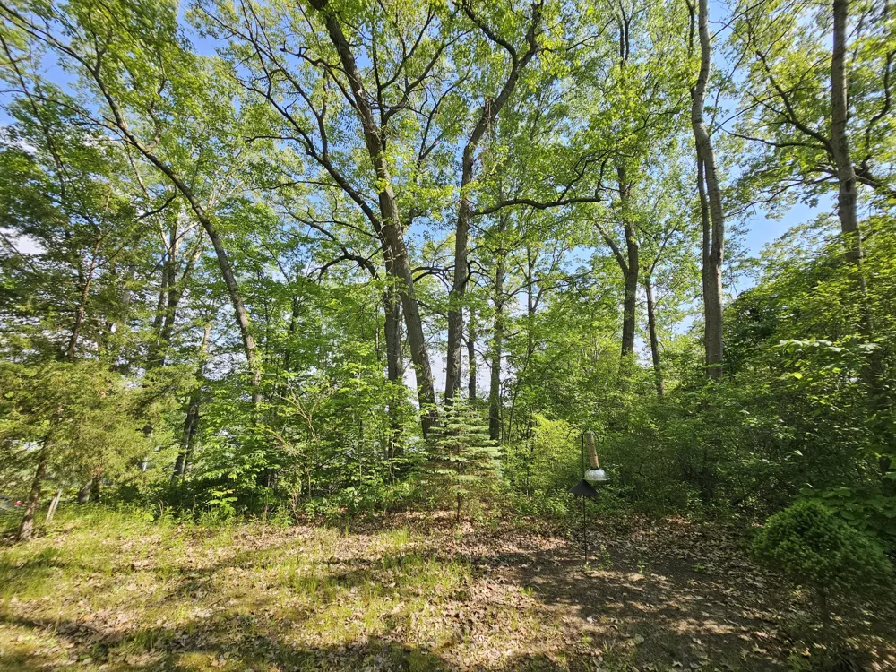 5350 Eze Street Reading, MI 49274