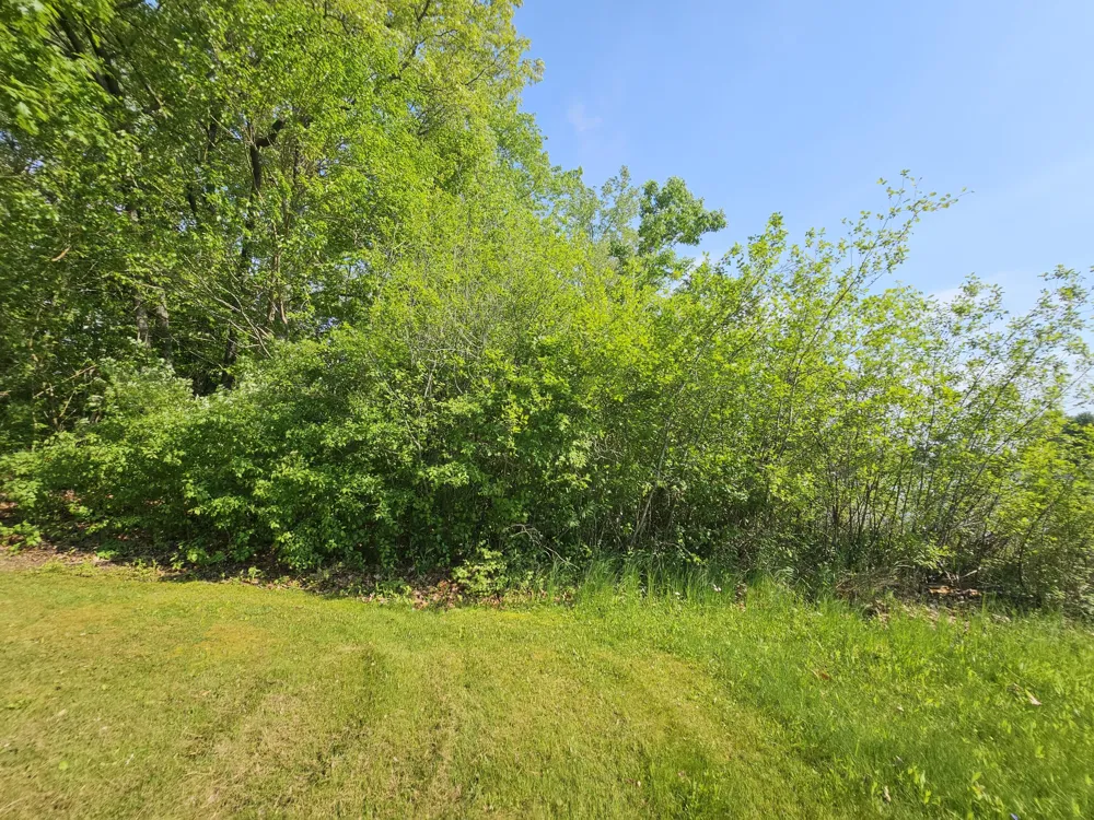 5350 Eze Street Reading, MI 49274