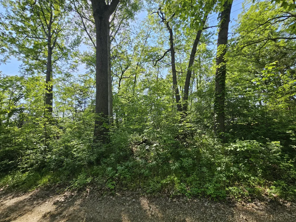 5350 Eze Street Reading, MI 49274