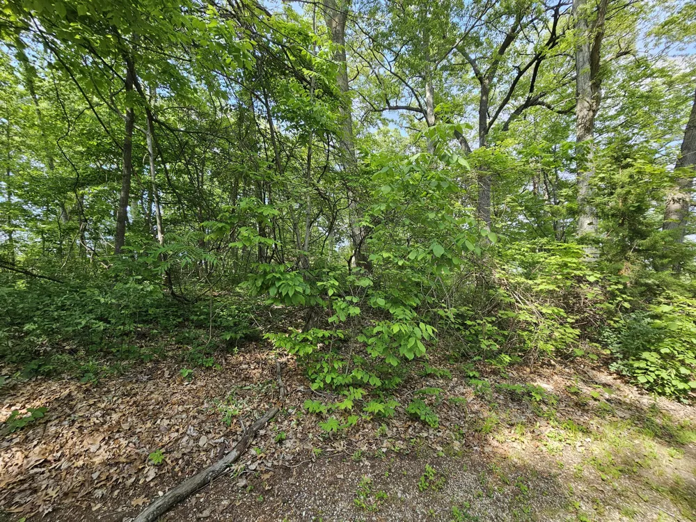 5350 Eze Street Reading, MI 49274