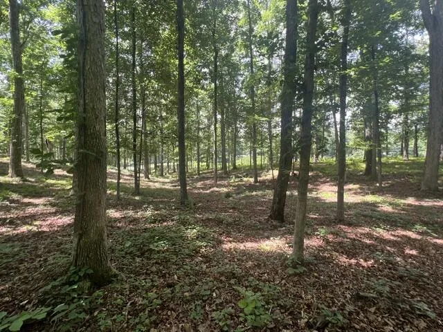 Bypass Bypass Dalton, GA 30721