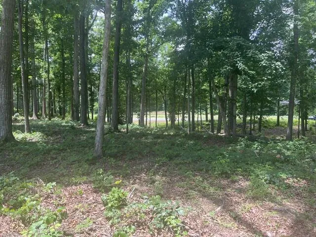 Bypass Bypass Dalton, GA 30721