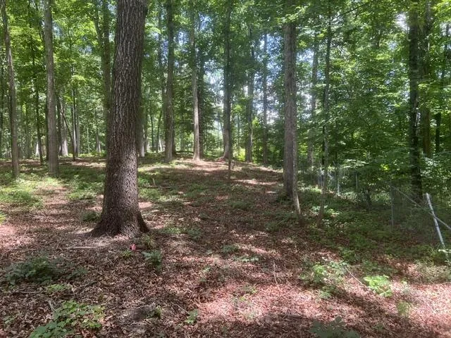 Bypass Bypass Dalton, GA 30721