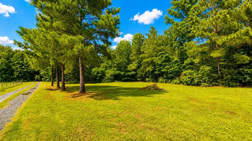 637 CR 151 Carthage, TX 75633