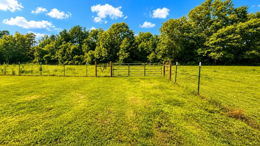637 CR 151 Carthage, TX 75633