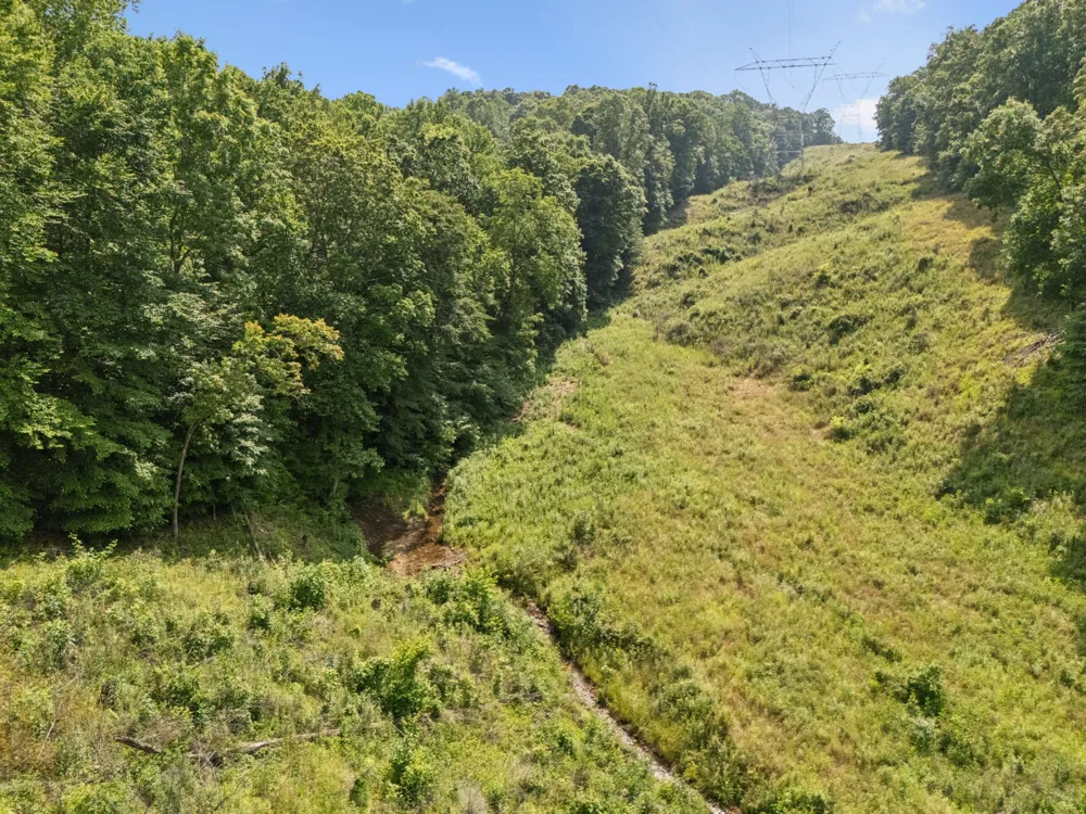 4255 McFall Rd Cumberland City, TN 37050