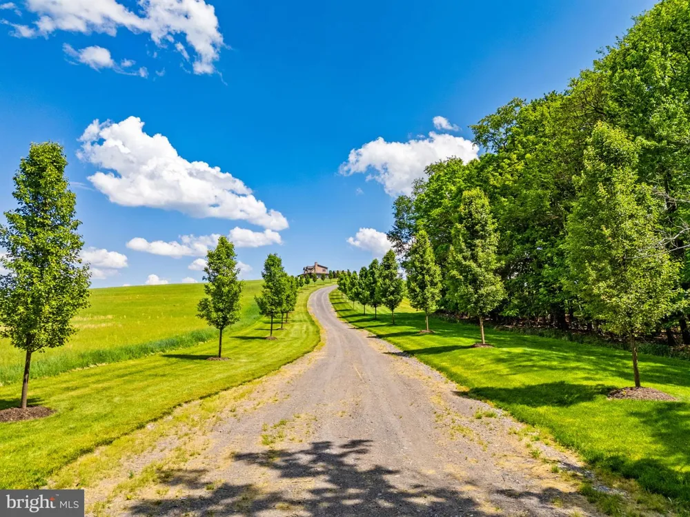 820 SHADYSIDE ROAD Elk Garden, WV 26717