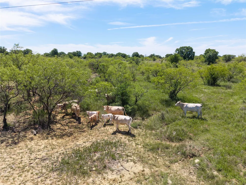 7582 Fm 2652 Loving, TX 76460