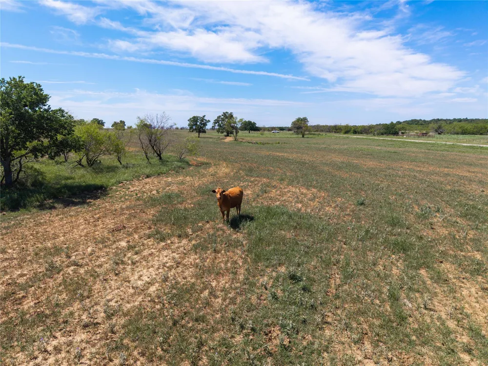 7582 Fm 2652 Loving, TX 76460