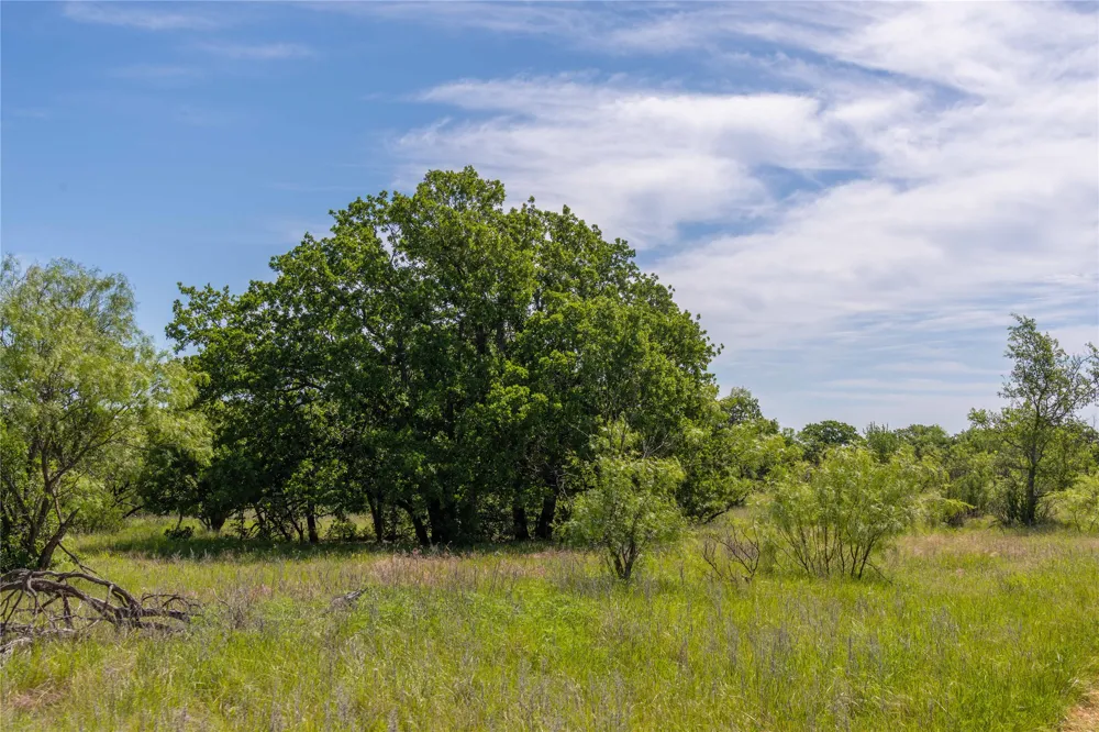 7582 Fm 2652 Loving, TX 76460