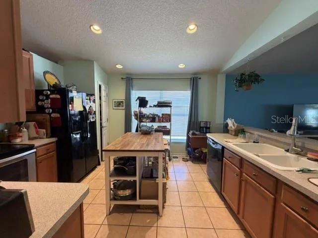 409 SEA HOLLY DRIVE Brooksville, FL 34604