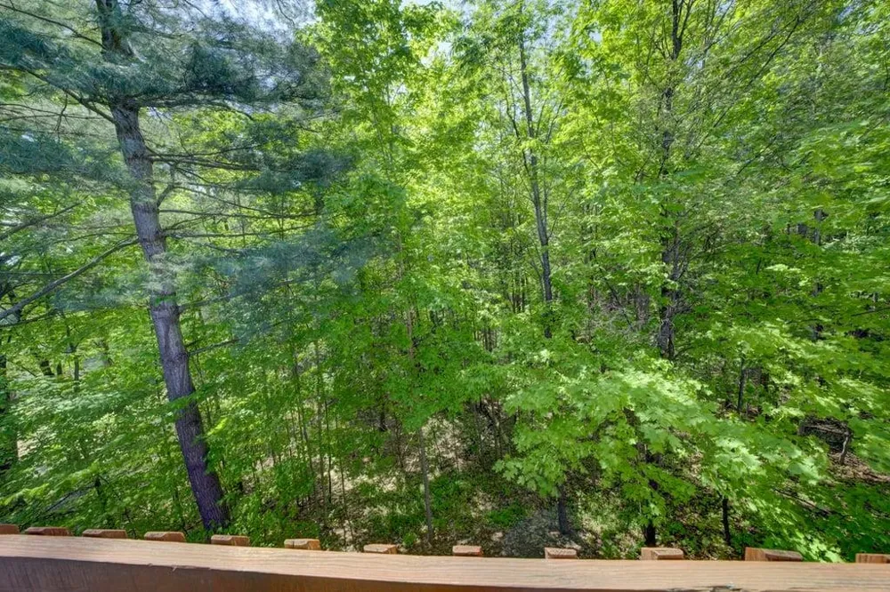 5452 Millbrook Drive Whitewater Township, MI 49690
