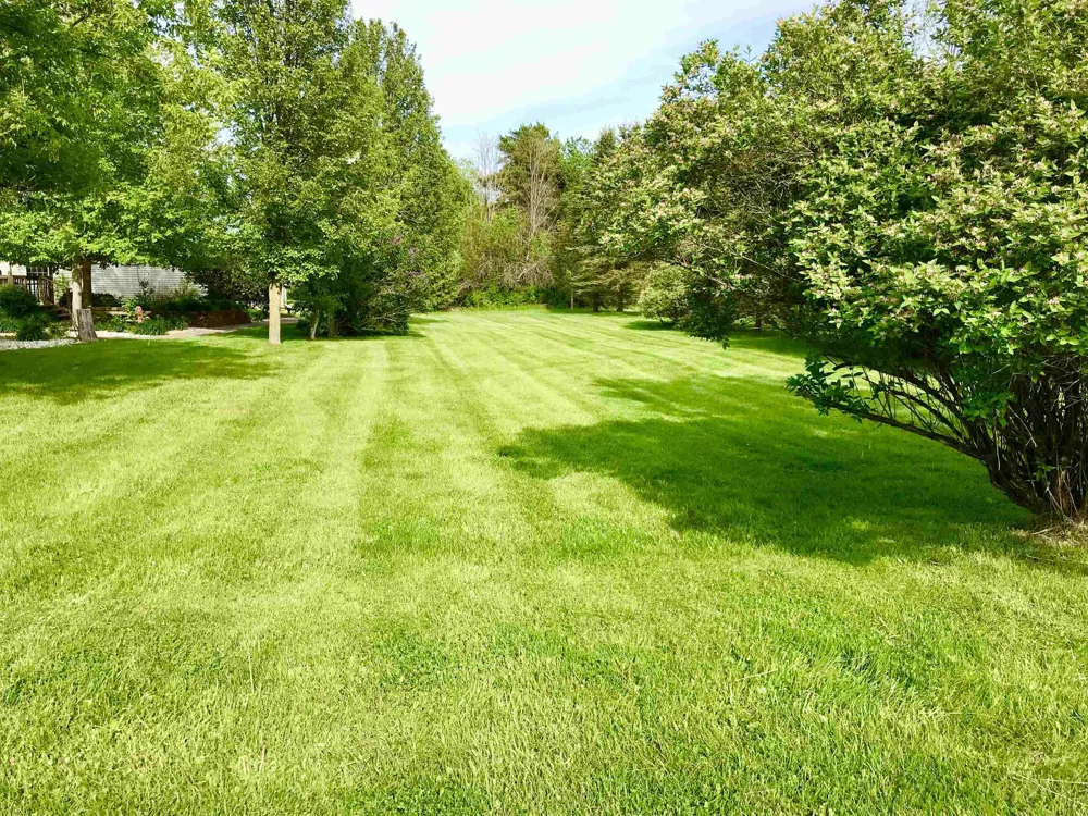 E Remus Road Union Charter Township, MI 48858