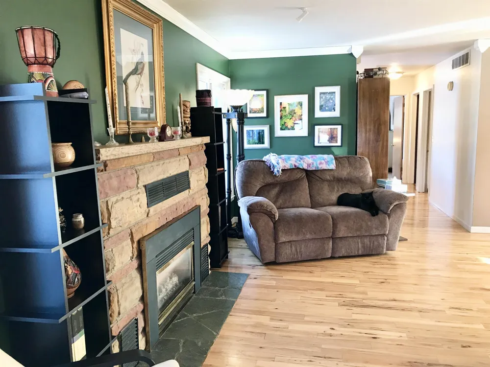 E Remus Road Union Charter Township, MI 48858