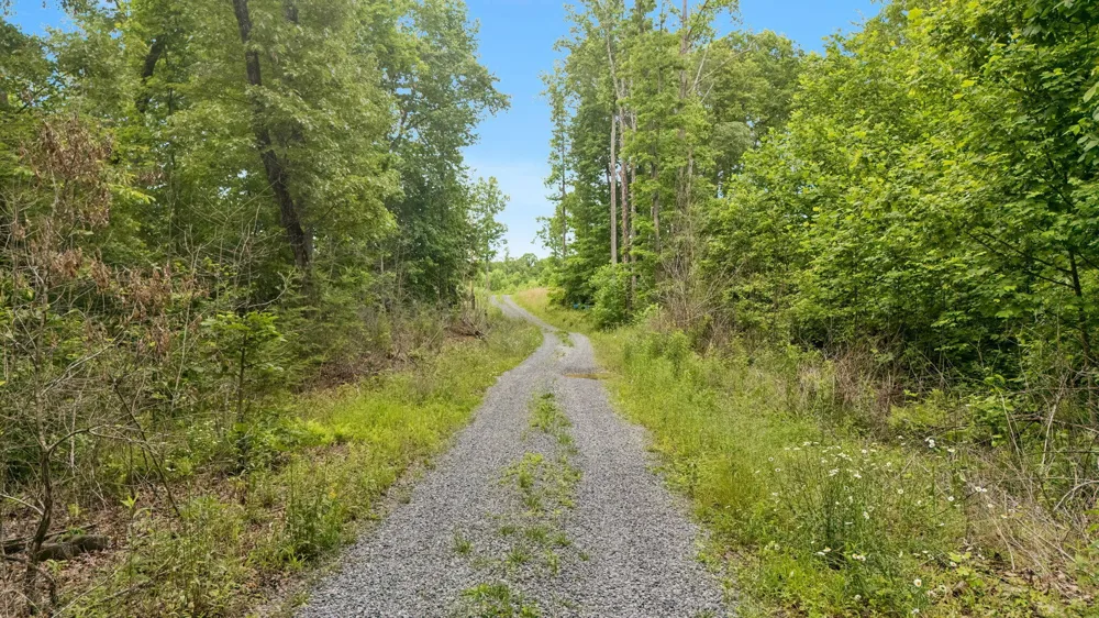 11 Laurel Brook Road Dunlap, TN 37327