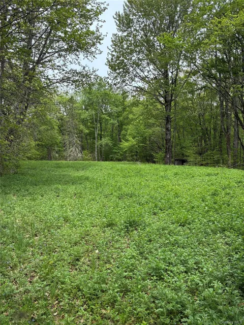1 Mountain lake Road