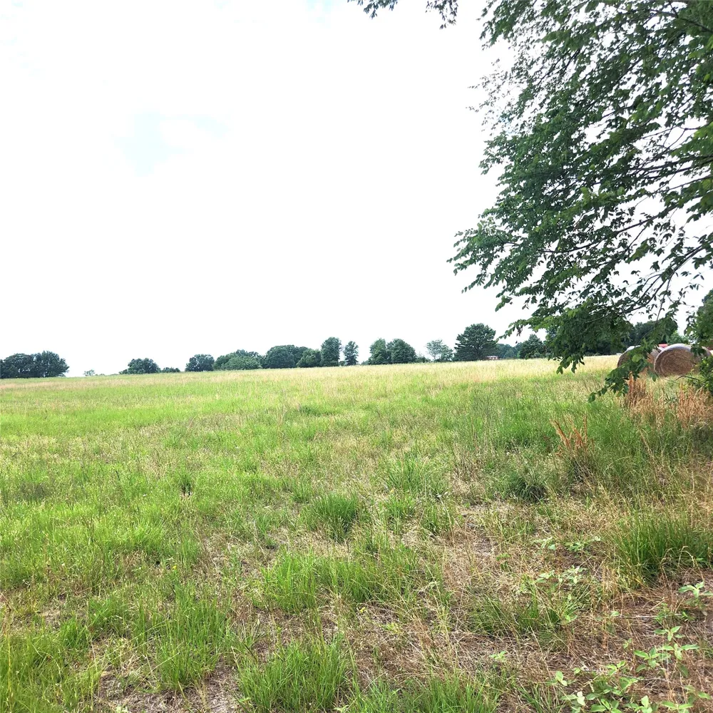 County Road 2813 Eustace, TX 75124