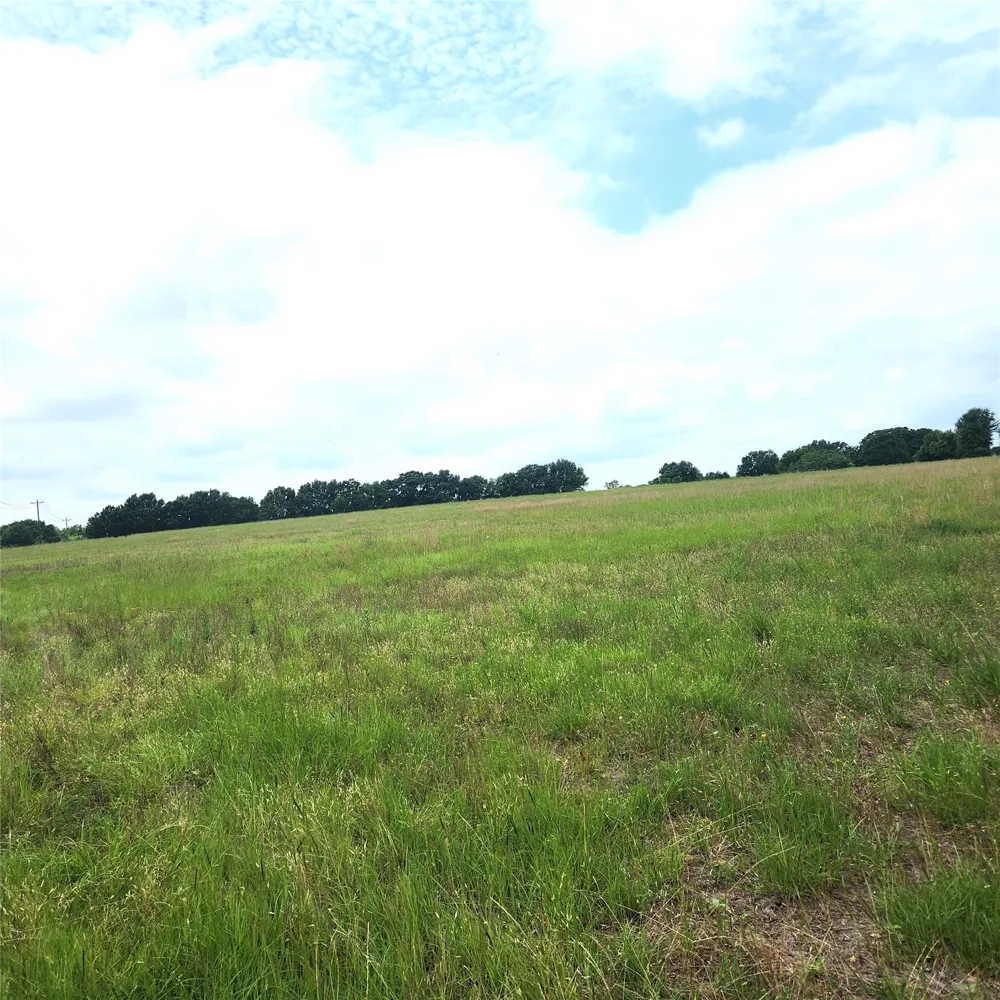 County Road 2813 Eustace, TX 75124