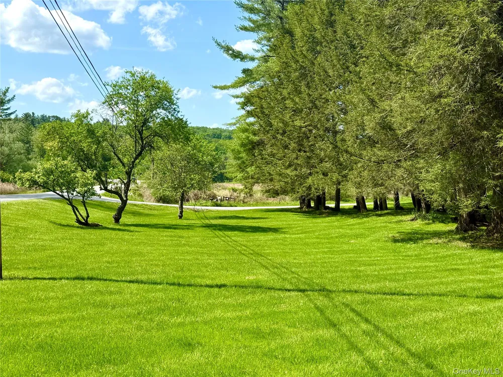 12 Mesmer Callicoon, NY 12723