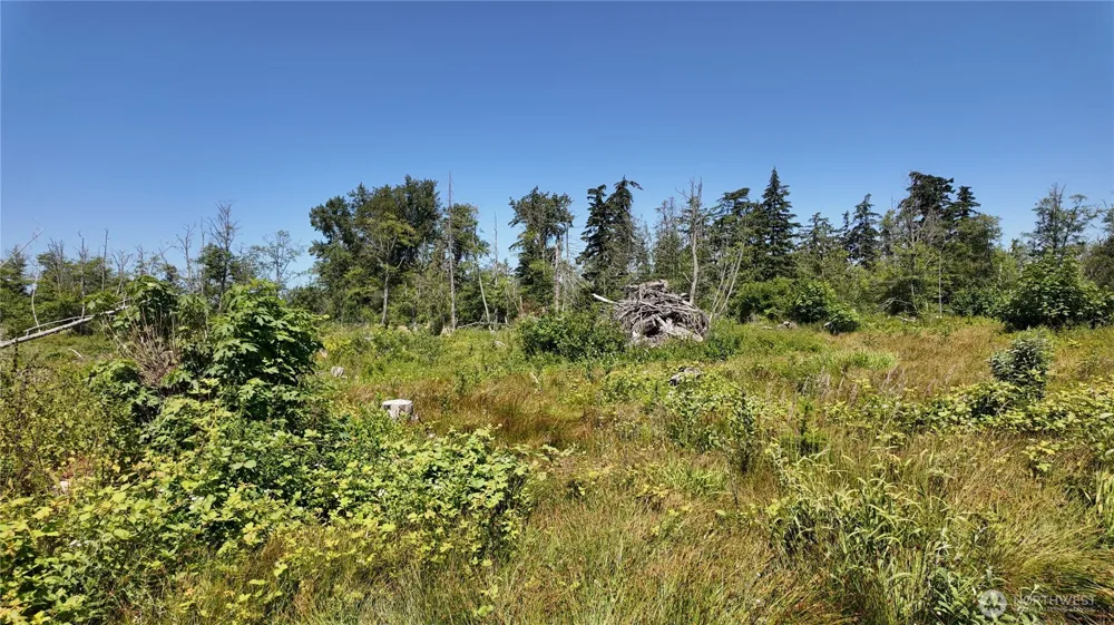 1 Seaview Lane Mount Vernon, WA 98273