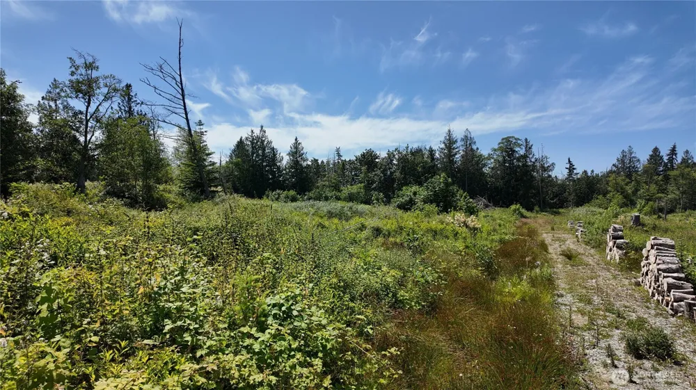 1 Seaview Lane Mount Vernon, WA 98273